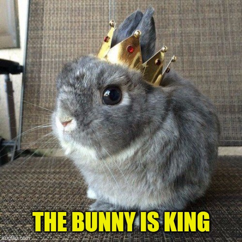 THE BUNNY IS KING | made w/ Imgflip meme maker