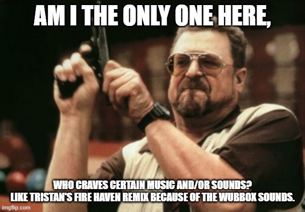 Am I The Only One Around Here | AM I THE ONLY ONE HERE, WHO CRAVES CERTAIN MUSIC AND/OR SOUNDS?
LIKE TRISTAN'S FIRE HAVEN REMIX BECAUSE OF THE WUBBOX SOUNDS. | image tagged in memes,am i the only one around here,music | made w/ Imgflip meme maker