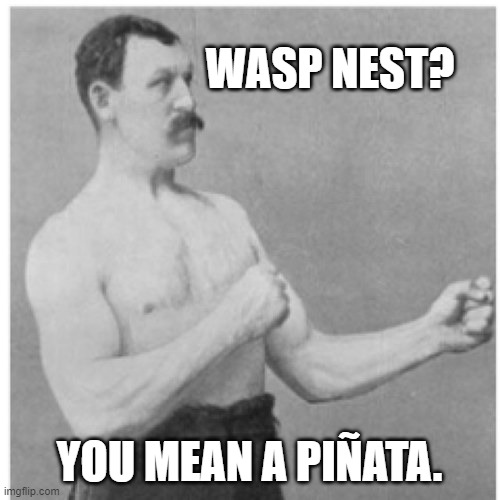 Overly Manly Man Meme | WASP NEST? YOU MEAN A PIÑATA. | image tagged in memes,overly manly man | made w/ Imgflip meme maker