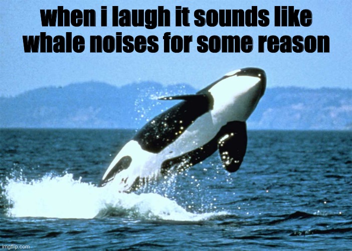 idk why | when i laugh it sounds like whale noises for some reason | made w/ Imgflip meme maker