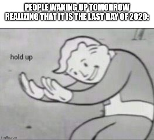 Pre-New Year's Eve | PEOPLE WAKING UP TOMORROW REALIZING THAT IT IS THE LAST DAY OF 2020: | image tagged in fallout hold up | made w/ Imgflip meme maker