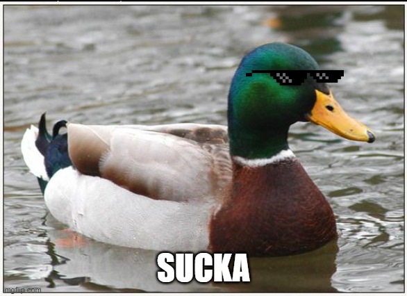 Actual Advice Mallard Meme | SUCKA | image tagged in memes,actual advice mallard | made w/ Imgflip meme maker