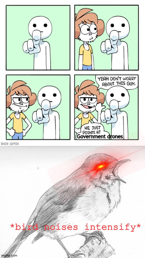 Government drones; *bird noises intensify* | image tagged in birb,government drones | made w/ Imgflip meme maker