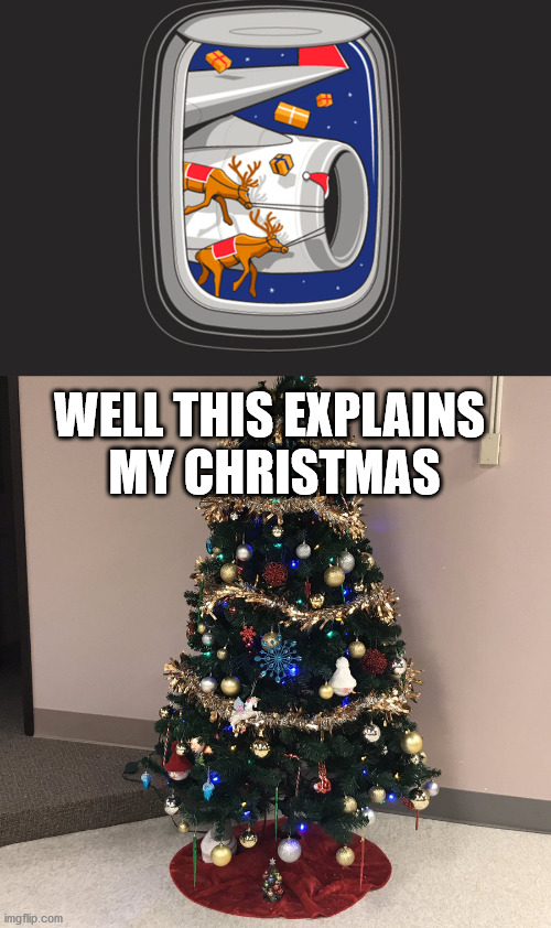 WELL THIS EXPLAINS 
MY CHRISTMAS | image tagged in no presents under the christmas tree | made w/ Imgflip meme maker