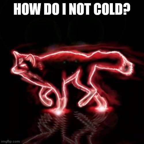 Glow Fox | HOW DO I NOT COLD? | image tagged in glow fox | made w/ Imgflip meme maker