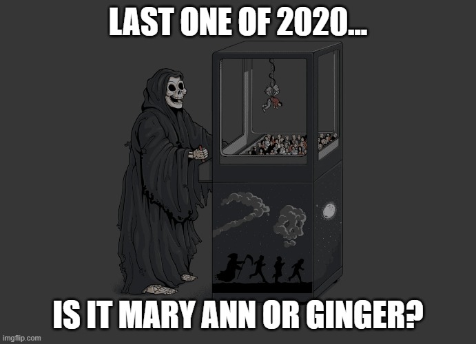 Angel of Death | LAST ONE OF 2020... IS IT MARY ANN OR GINGER? | image tagged in angel of death | made w/ Imgflip meme maker