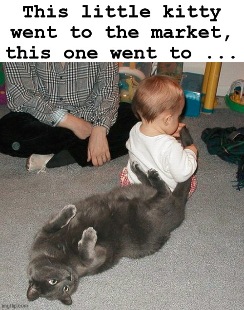 This little kitty went to the market, this one went to ... | image tagged in cats | made w/ Imgflip meme maker