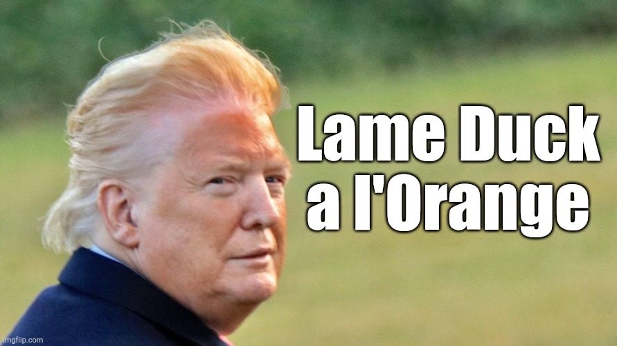 Trump orange face |  Lame Duck a l'Orange | image tagged in trump orange face | made w/ Imgflip meme maker