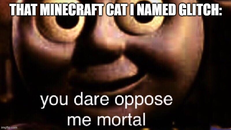 You dare oppose me mortal | THAT MINECRAFT CAT I NAMED GLITCH: | image tagged in you dare oppose me mortal | made w/ Imgflip meme maker