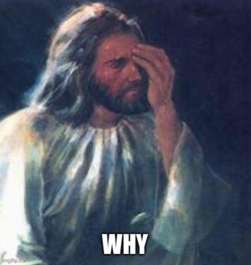 jesus facepalm | WHY | image tagged in jesus facepalm | made w/ Imgflip meme maker