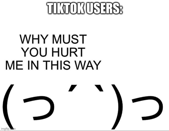 Why must you hurt me in this way | TIKTOK USERS: | image tagged in why must you hurt me in this way | made w/ Imgflip meme maker