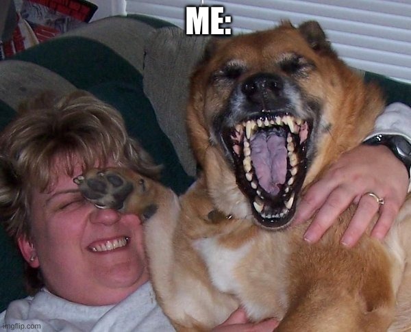 laughing dog | ME: | image tagged in laughing dog | made w/ Imgflip meme maker