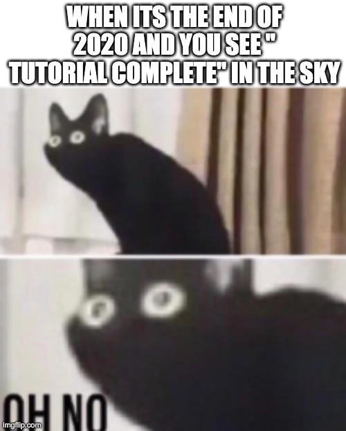 2020 part 2 confimation | WHEN ITS THE END OF 2020 AND YOU SEE " TUTORIAL COMPLETE" IN THE SKY | image tagged in oh no cat | made w/ Imgflip meme maker