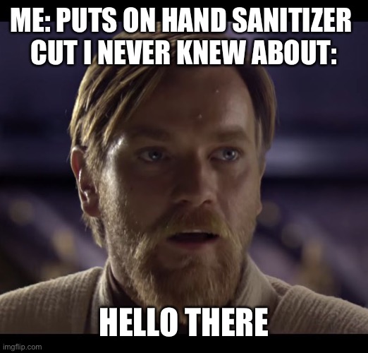 Hello there | ME: PUTS ON HAND SANITIZER 
CUT I NEVER KNEW ABOUT:; HELLO THERE | image tagged in hello there | made w/ Imgflip meme maker
