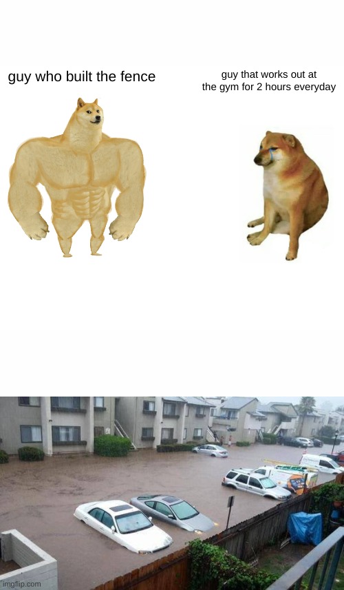guy who built the fence; guy that works out at the gym for 2 hours everyday | image tagged in memes,buff doge vs cheems | made w/ Imgflip meme maker
