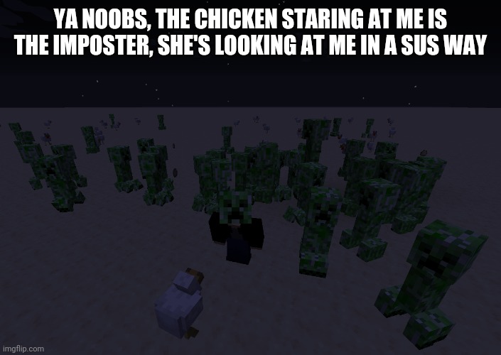 I have a suit ya dummies | YA NOOBS, THE CHICKEN STARING AT ME IS THE IMPOSTER, SHE'S LOOKING AT ME IN A SUS WAY | image tagged in there's 1 impostor among us minecraft edition | made w/ Imgflip meme maker
