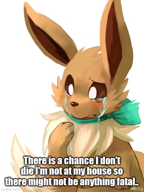 There is a chance I don't die I'm not at my house so there might not be anything fatal.. | made w/ Imgflip meme maker