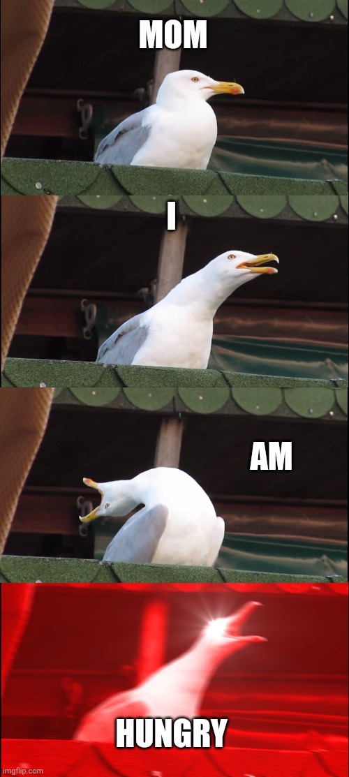 Inhaling Seagull | MOM; I; AM; HUNGRY | image tagged in memes,inhaling seagull | made w/ Imgflip meme maker