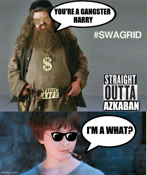 YOU'RE A GANGSTER
 HARRY; AZKABAN; I'M A WHAT? | image tagged in swagrid,you're a wizard harry | made w/ Imgflip meme maker