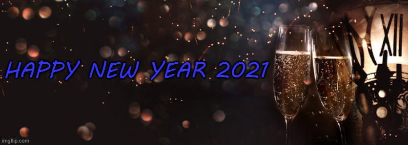 NewYear2021 | HAPPY NEW YEAR 2021 | image tagged in newyear | made w/ Imgflip meme maker