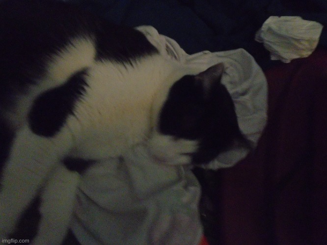 Look Who Wondered Into My Room :) | made w/ Imgflip meme maker