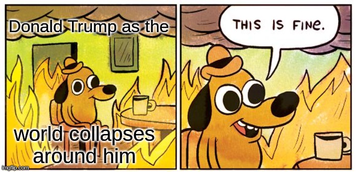 Just after Biden wins | Donald Trump as the; world collapses around him | image tagged in memes,this is fine | made w/ Imgflip meme maker