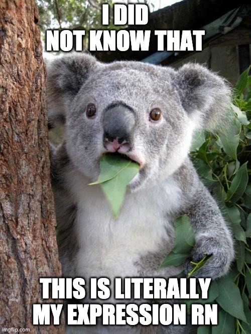 Surprised Koala Meme | I DID NOT KNOW THAT THIS IS LITERALLY MY EXPRESSION RN | image tagged in memes,surprised koala | made w/ Imgflip meme maker