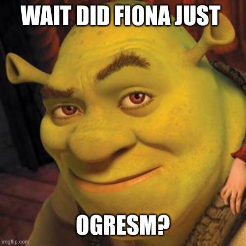 Shrek Sexy Face | WAIT DID FIONA JUST; OGRESM? | image tagged in shrek sexy face | made w/ Imgflip meme maker