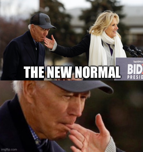 THE NEW NORMAL | made w/ Imgflip meme maker