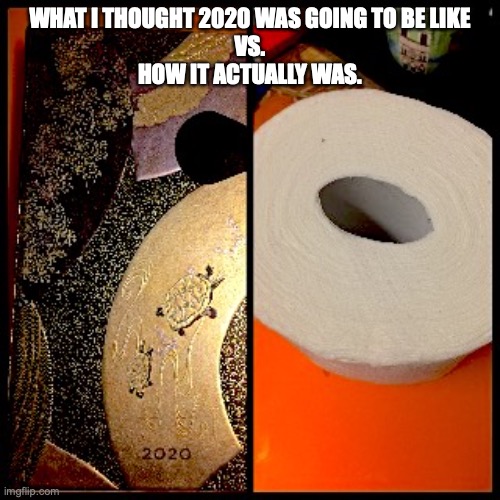 bye 2020 | WHAT I THOUGHT 2020 WAS GOING TO BE LIKE
 VS. 
HOW IT ACTUALLY WAS. | image tagged in 2020 | made w/ Imgflip meme maker