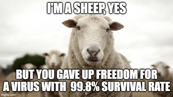 Who's the sheep | I'M A SHEEP, YES; BUT YOU GAVE UP FREEDOM FOR A VIRUS WITH  99.8% SURVIVAL RATE | image tagged in sheep,covid,lockdown,reset,vaccine,2020 | made w/ Imgflip meme maker