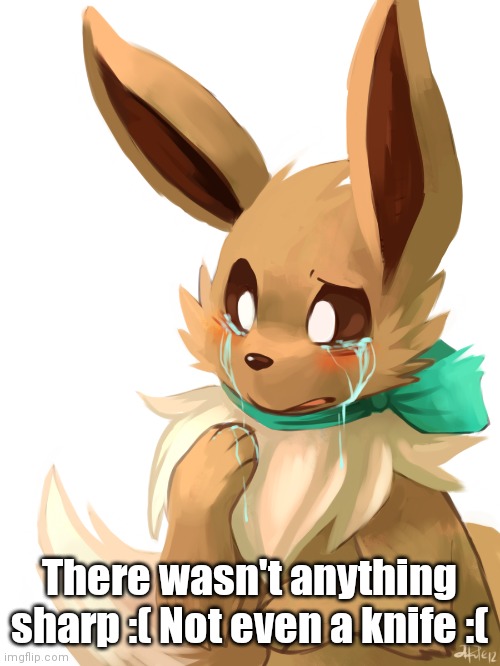 There wasn't anything sharp :( Not even a knife :( | made w/ Imgflip meme maker