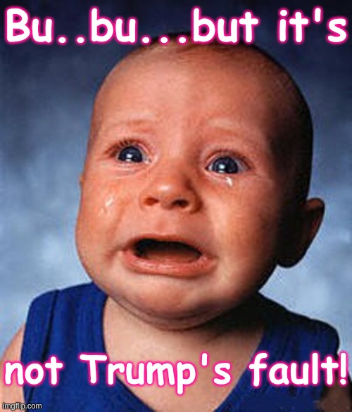 Not Trump's fault | Bu..bu...but it's; not Trump's fault! | image tagged in crying baby,trump,election 2020,covid,covid-19,coronavirus | made w/ Imgflip meme maker