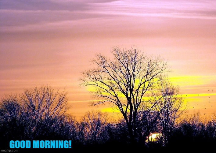 good morning | GOOD MORNING! | made w/ Imgflip meme maker