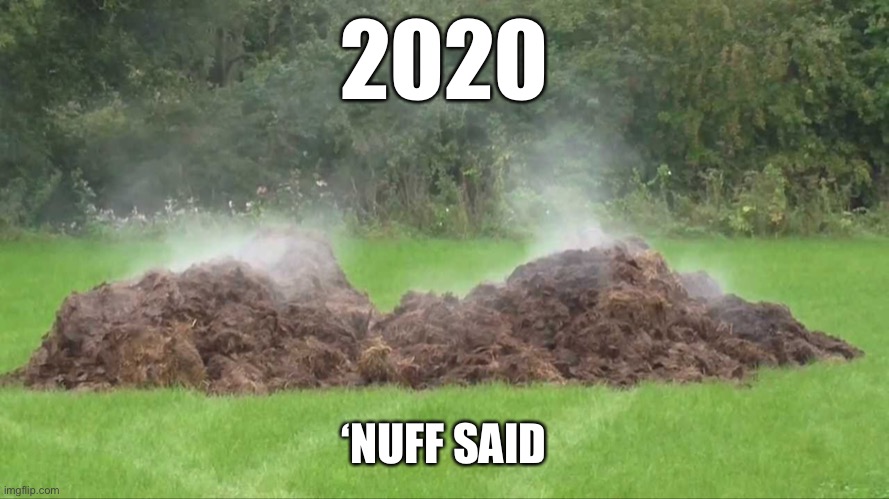 Simply The Year | 2020; ‘NUFF SAID | image tagged in 2020 sucks,goodbye,2020 | made w/ Imgflip meme maker
