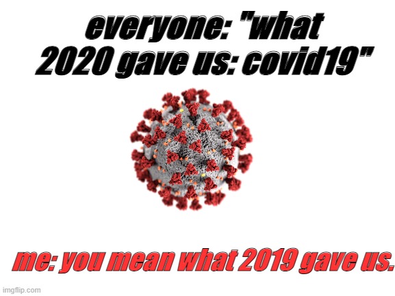 its covid19 not covid20 duh | everyone: "what 2020 gave us: covid19"; me: you mean what 2019 gave us. | image tagged in blank white template,coronavirus,2020 sucks | made w/ Imgflip meme maker