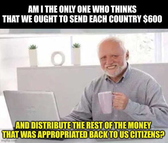 600 dollars | AM I THE ONLY ONE WHO THINKS THAT WE OUGHT TO SEND EACH COUNTRY $600; AND DISTRIBUTE THE REST OF THE MONEY THAT WAS APPROPRIATED BACK TO US CITIZENS? | image tagged in harold | made w/ Imgflip meme maker