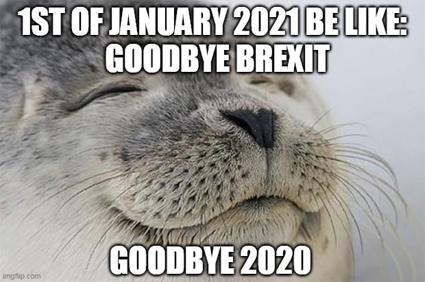 Satisfied Seal | 1ST OF JANUARY 2021 BE LIKE:; GOODBYE BREXIT; GOODBYE 2020 | image tagged in satisfied seal,2020,brexit,2021,happy new year,uk | made w/ Imgflip meme maker