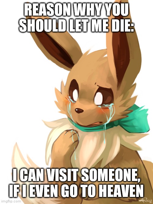 REASON WHY YOU SHOULD LET ME DIE:; I CAN VISIT SOMEONE, IF I EVEN GO TO HEAVEN | made w/ Imgflip meme maker
