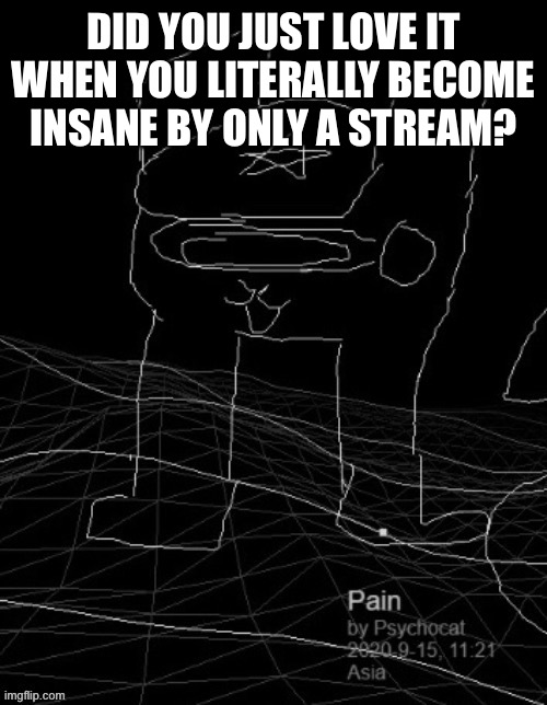 Pain | DID YOU JUST LOVE IT WHEN YOU LITERALLY BECOME INSANE BY ONLY A STREAM? | image tagged in pain | made w/ Imgflip meme maker