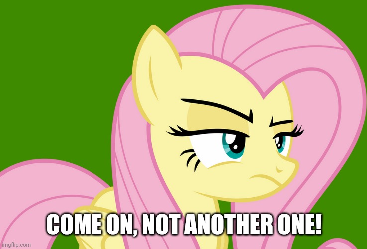 Pissed-off Fluttershy (MLP) | COME ON, NOT ANOTHER ONE! | image tagged in pissed-off fluttershy mlp | made w/ Imgflip meme maker