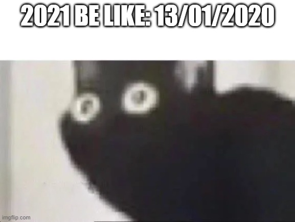 2021 be like | 2021 BE LIKE: 13/01/2020 | image tagged in 2020 sucks | made w/ Imgflip meme maker