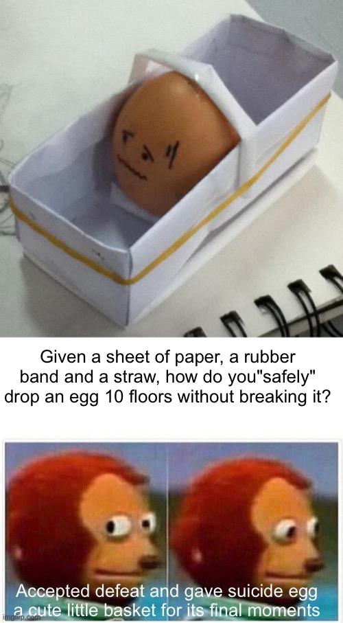 How would you do it? (A "team building exercise, think we were being trolled) | Given a sheet of paper, a rubber band and a straw, how do you"safely" drop an egg 10 floors without breaking it? Accepted defeat and gave suicide egg a cute little basket for its final moments | image tagged in memes,egg,sad,basket,classroom,stupidity | made w/ Imgflip meme maker