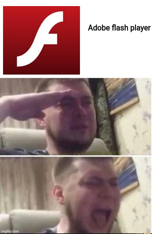 Goodbye,  Adobe flash player. | Adobe flash player | image tagged in crying salute | made w/ Imgflip meme maker