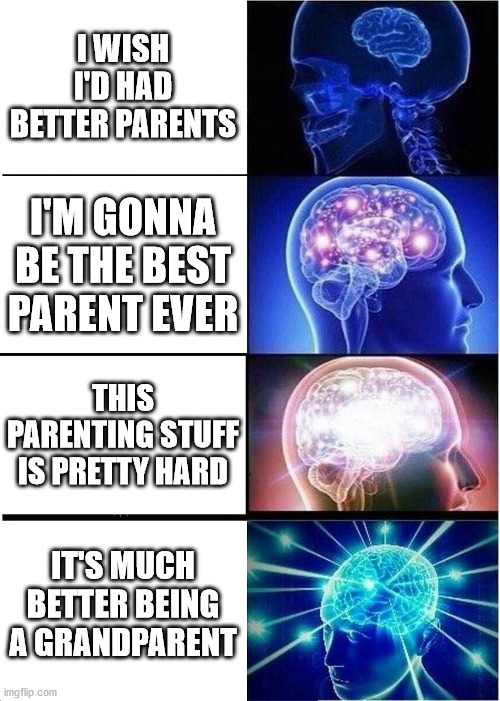 Expanding Brain Meme | I WISH I'D HAD BETTER PARENTS; I'M GONNA BE THE BEST PARENT EVER; THIS PARENTING STUFF IS PRETTY HARD; IT'S MUCH BETTER BEING A GRANDPARENT | image tagged in expanding brain,parent,grandparent,adult,adulting | made w/ Imgflip meme maker