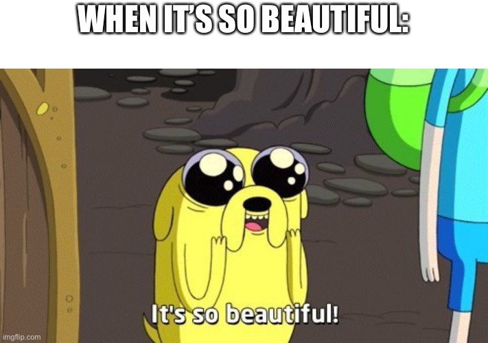 Adventure time | WHEN IT’S SO BEAUTIFUL: | image tagged in adventure time | made w/ Imgflip meme maker