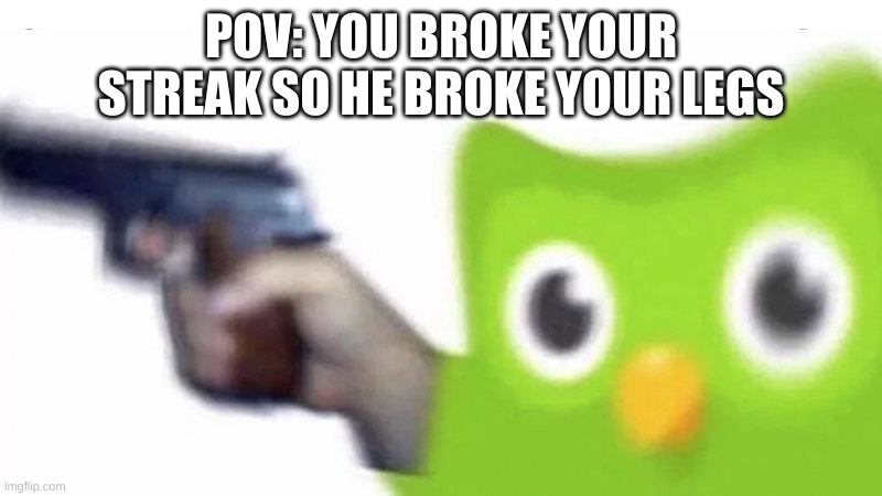 looks like you missed your spanish lesson today | POV: YOU BROKE YOUR STREAK SO HE BROKE YOUR LEGS | image tagged in memes,funny,duolingo,spanish,oh no | made w/ Imgflip meme maker