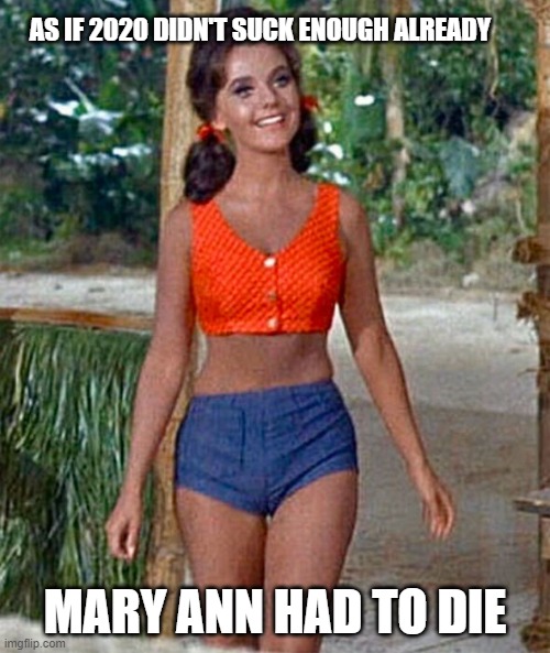 R.I.P. Dawn Wells | AS IF 2020 DIDN'T SUCK ENOUGH ALREADY; MARY ANN HAD TO DIE | image tagged in gilligan's island,mary ann | made w/ Imgflip meme maker