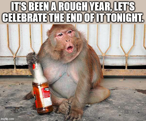 IT'S BEEN A ROUGH YEAR, LET'S CELEBRATE THE END OF IT TONIGHT. | made w/ Imgflip meme maker