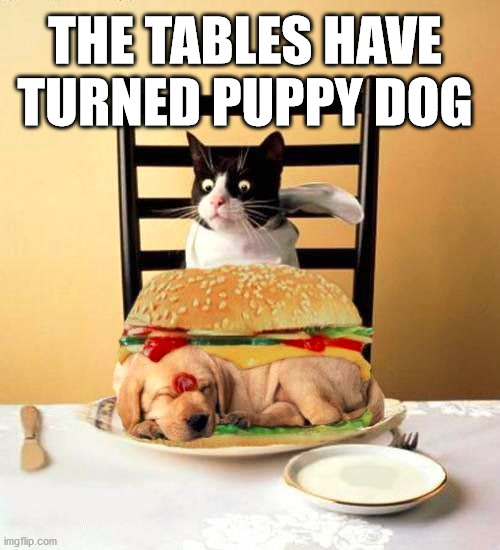 THE TABLES HAVE TURNED PUPPY DOG | image tagged in cats | made w/ Imgflip meme maker